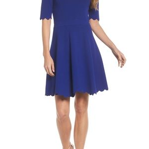 ELIZA J SCALLOP TRIM FIT & FLARE DRESS IN COBALT XXL